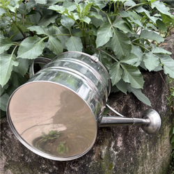 Sleek & Sturdy! Stainless Steel Long Spout Garden Watering Can