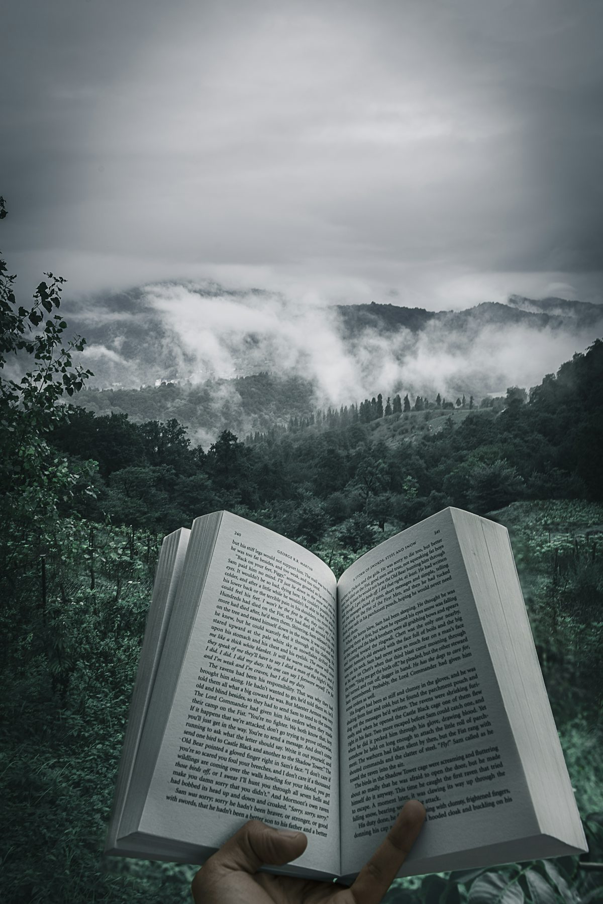 person holding open book viewing mountain view — illustrative stock photo