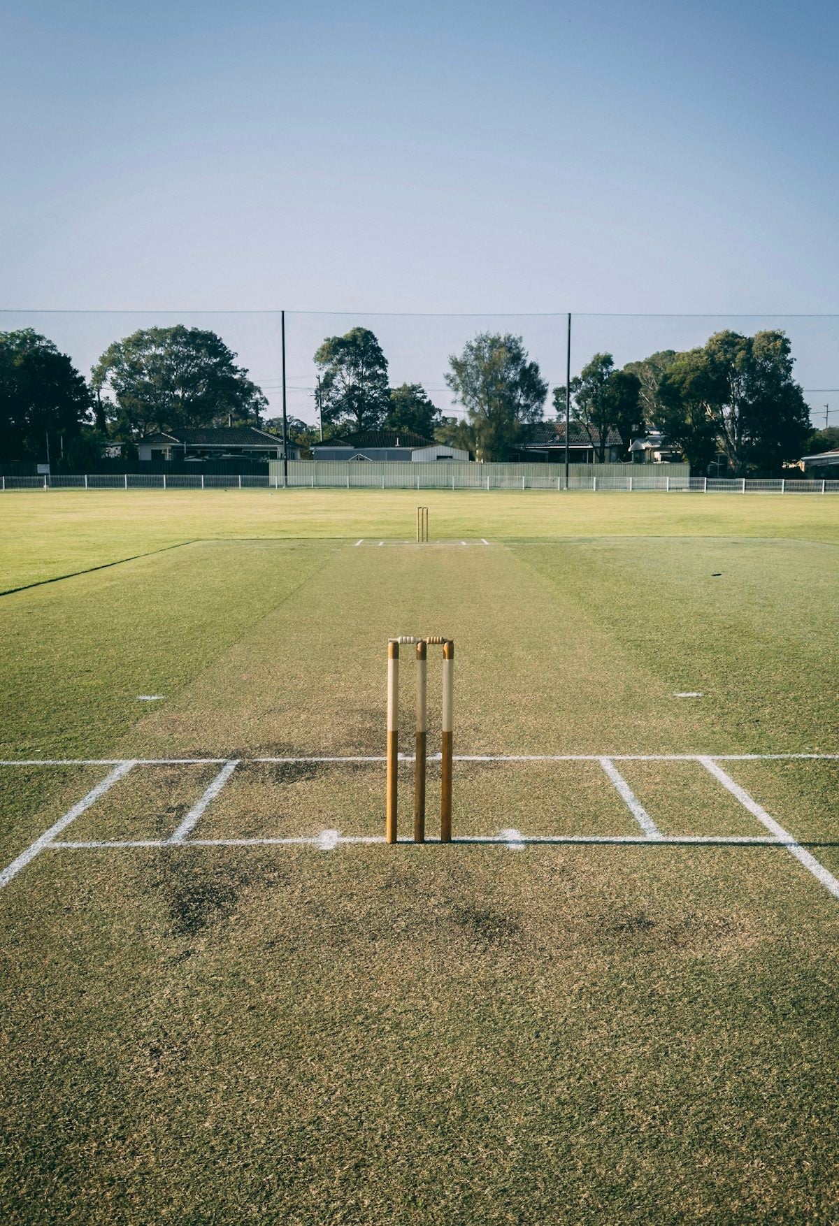 a cricket field with a bat and ball on it — illustrative stock photo