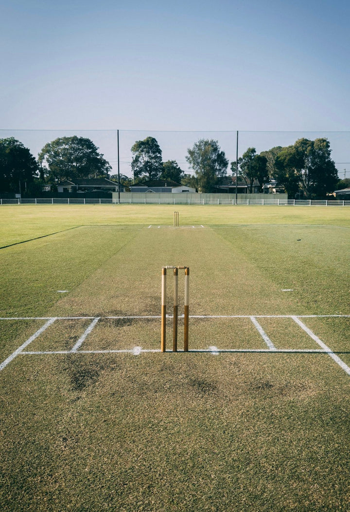 a cricket field with a bat and ball on it — illustrative stock photo