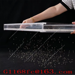 Effortless Seed Planting! Acrylic Seedling Tray Sower Tool